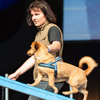 Faszination Hundesport Agility