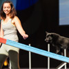 Faszination Hundesport Agility