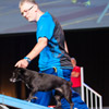 Faszination Hundesport Agility