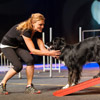 Faszination Hundesport Agility